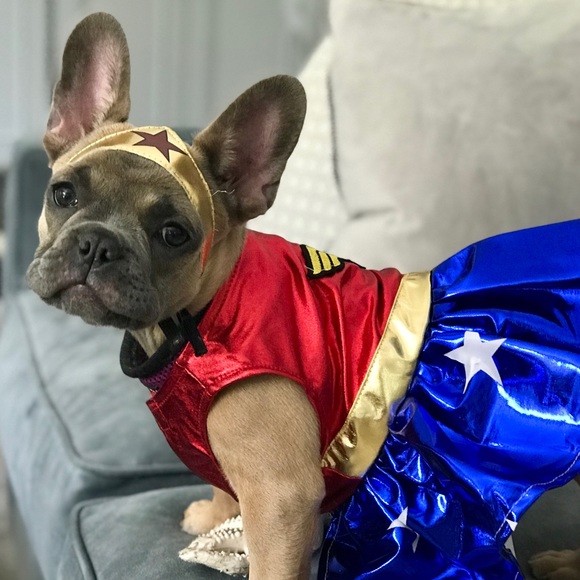 Meet your Posher, Amy - Picture 1 of 1